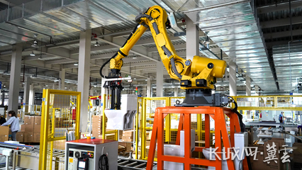 惠達衛(wèi)浴入選河北2021輕工行業(yè)排頭兵和品牌影響力企業(yè)50強